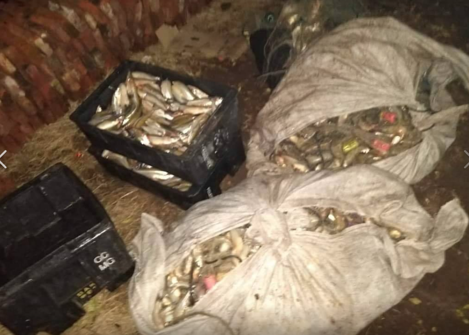 OPERATIVO POR PESCA CLANDESTINA