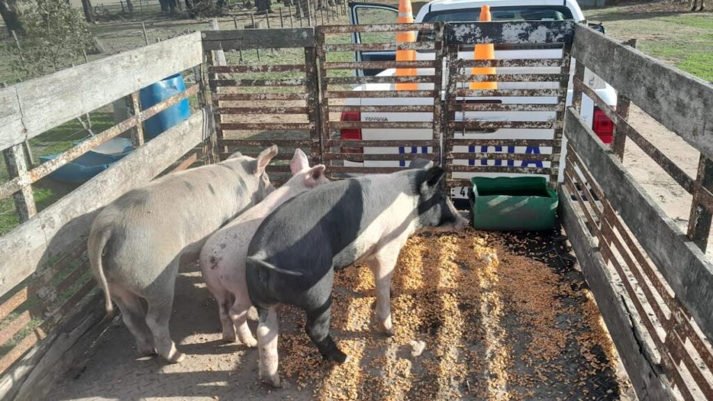 PARTE DE PRENSA C.P.R. CARLOS CASARES